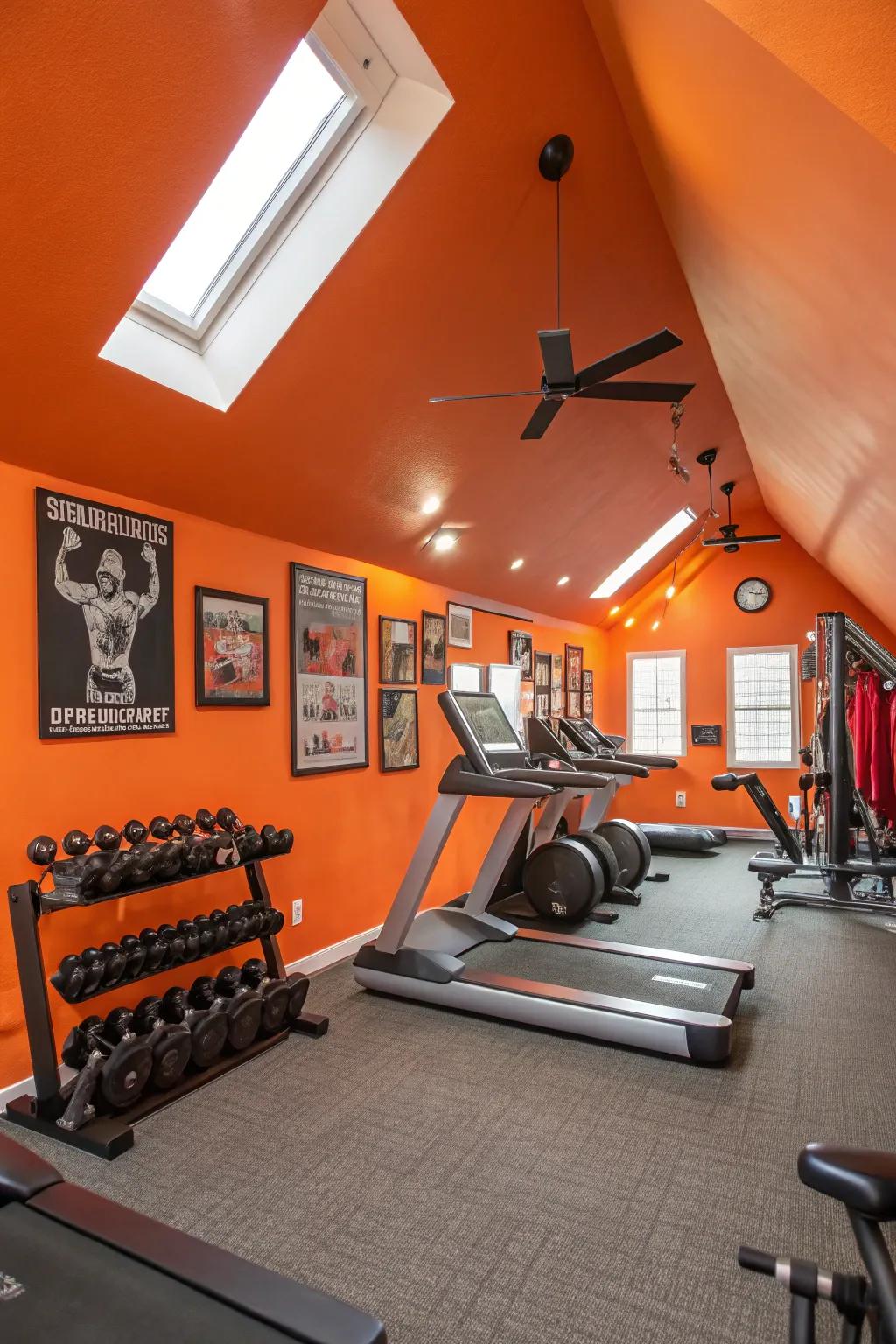 Vibrant colors bring energy and positivity to your workout space.