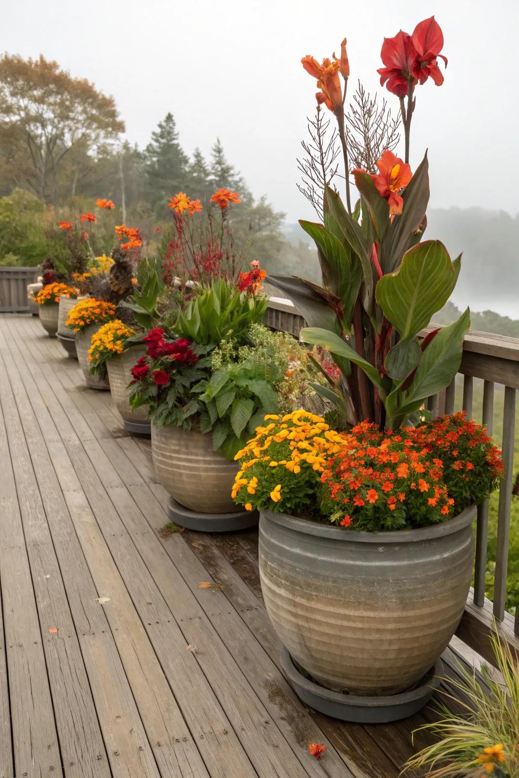 Majestic blooms paired with seasonal flowers for a year-round display.