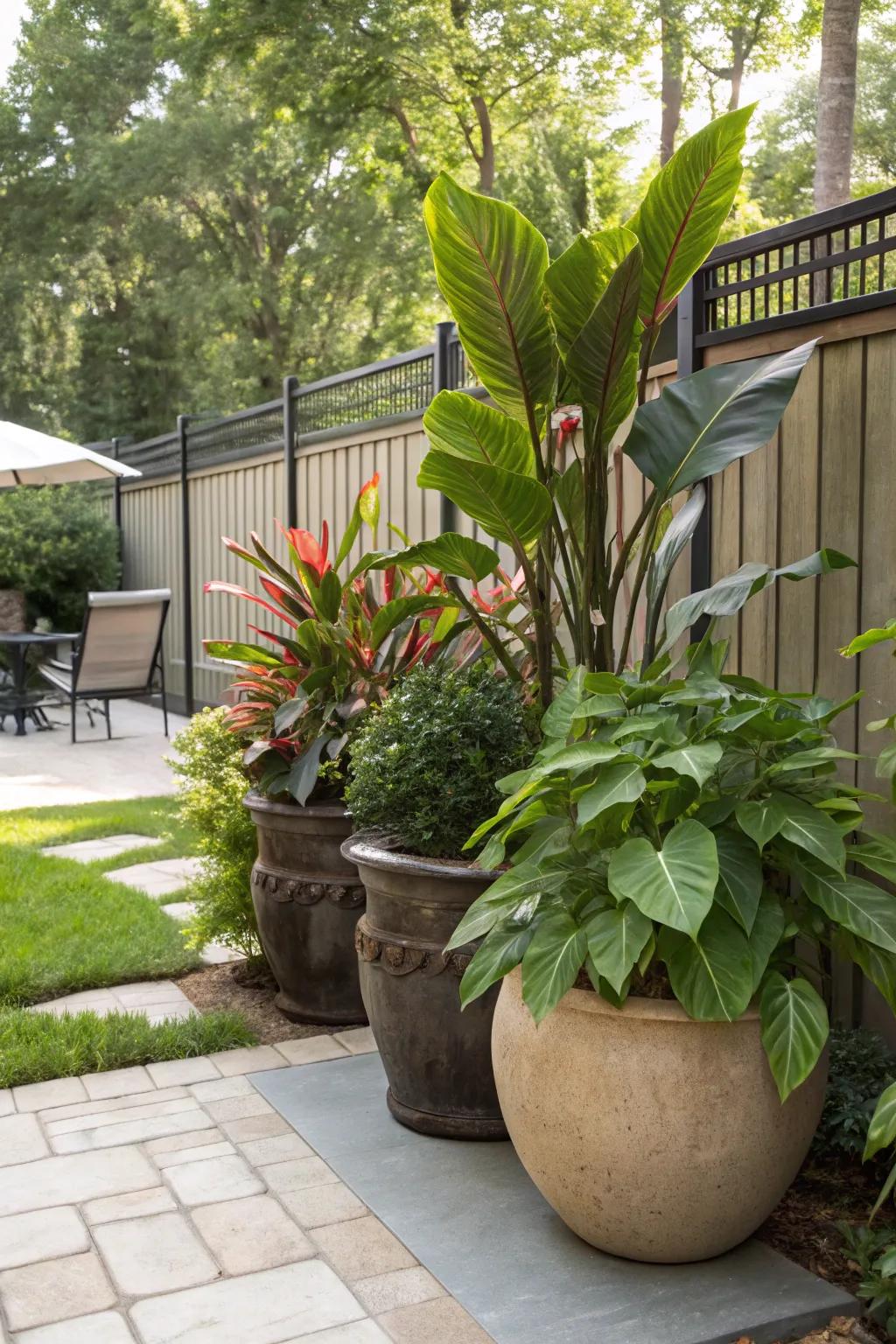 Potted greenery provides flexible and vibrant privacy options.