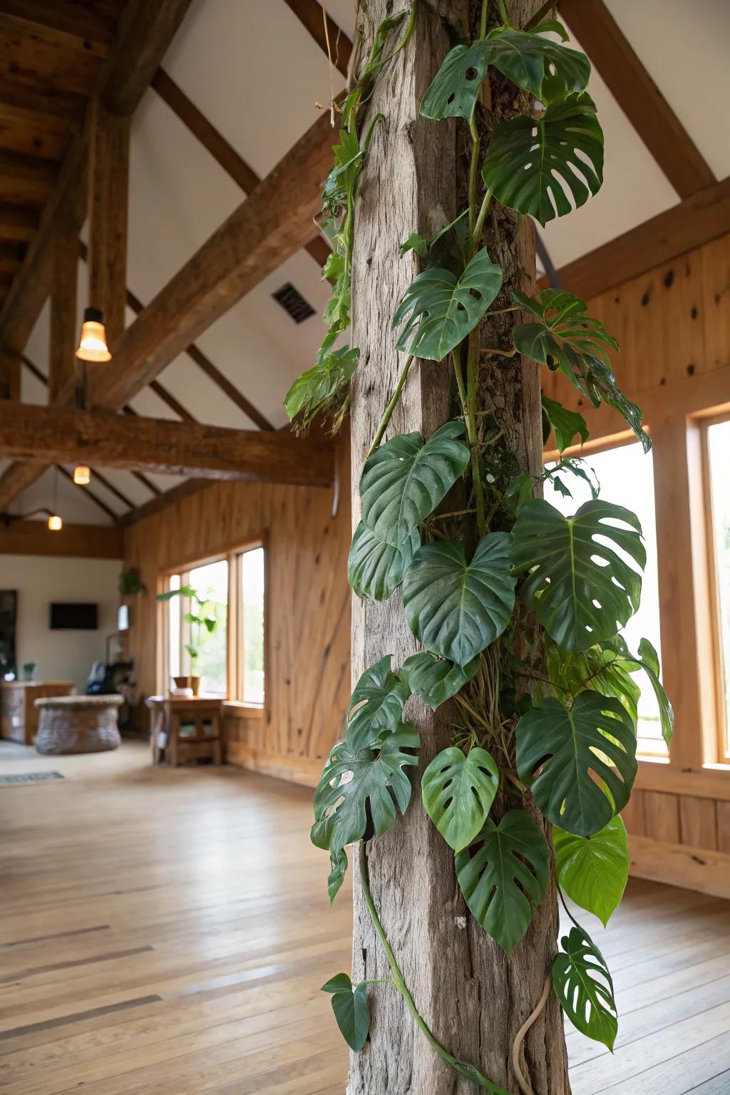 Combine rustic charm with natural beauty