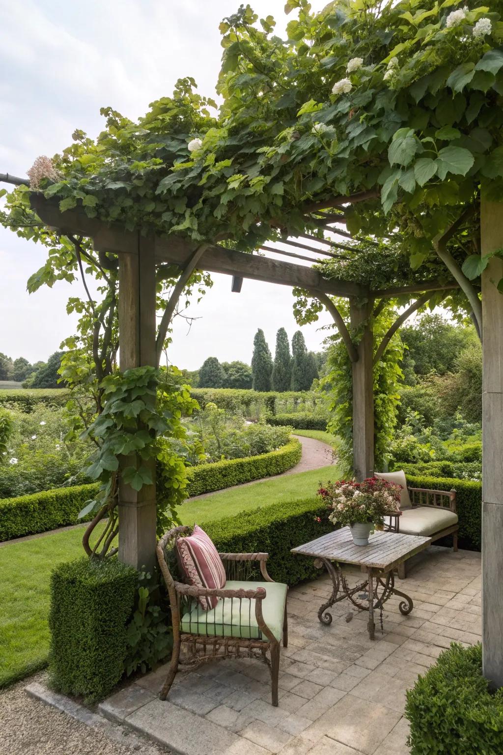 A pergola sanctuary invites shade and tranquility.
