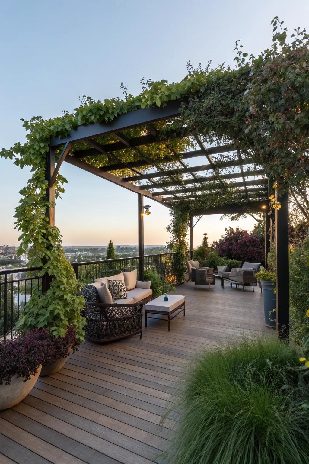 A pergola offering both shade and elegance.
