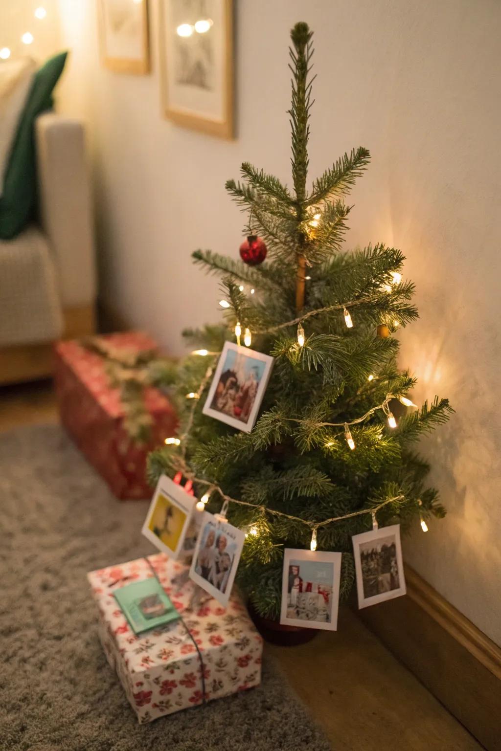 A miniature tree exhibit imparts charm to your celebrations.