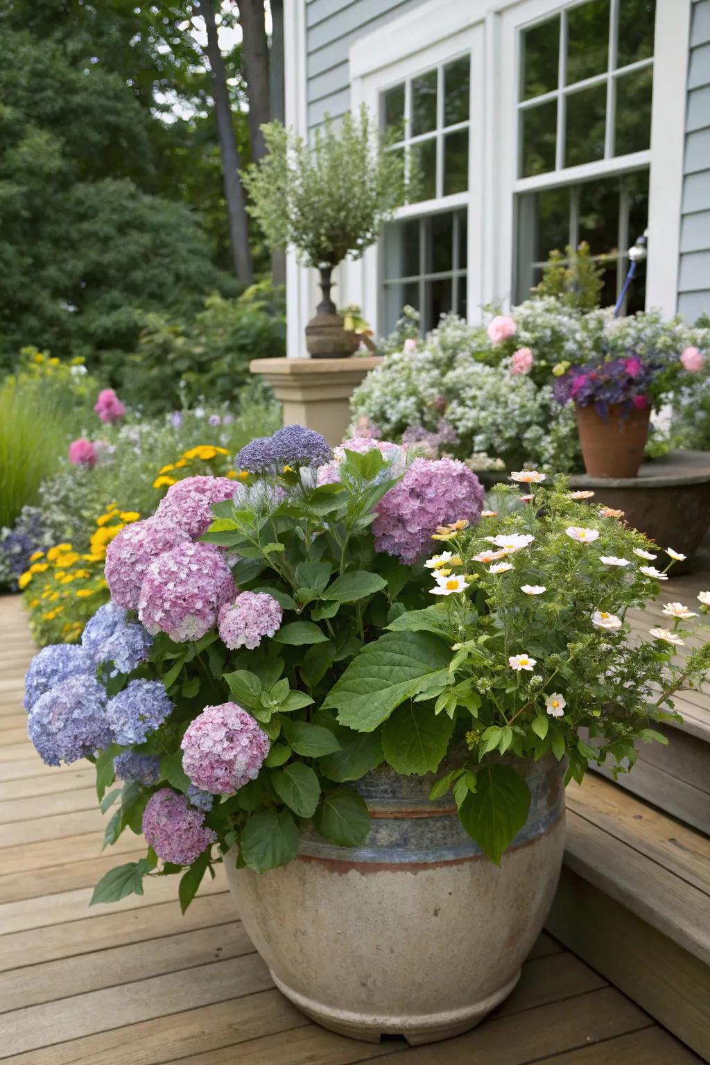 A clay pot bursting with cloudburst blooms and wildflowers for a garden feel.
