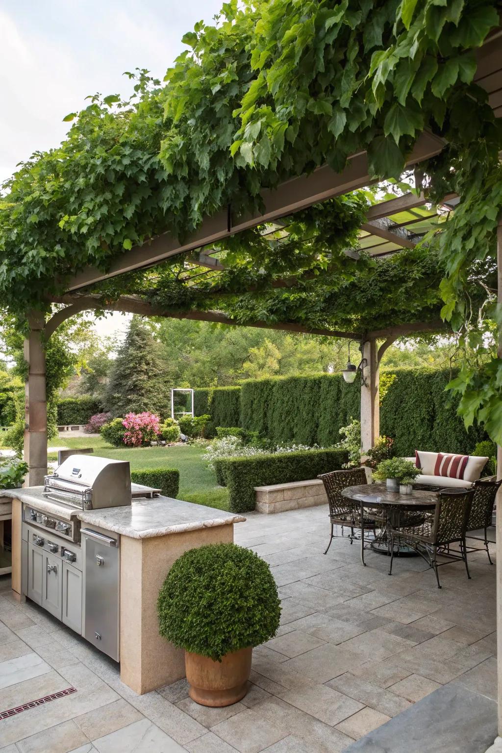 Green canopy with a pergola draped in climbing vines.