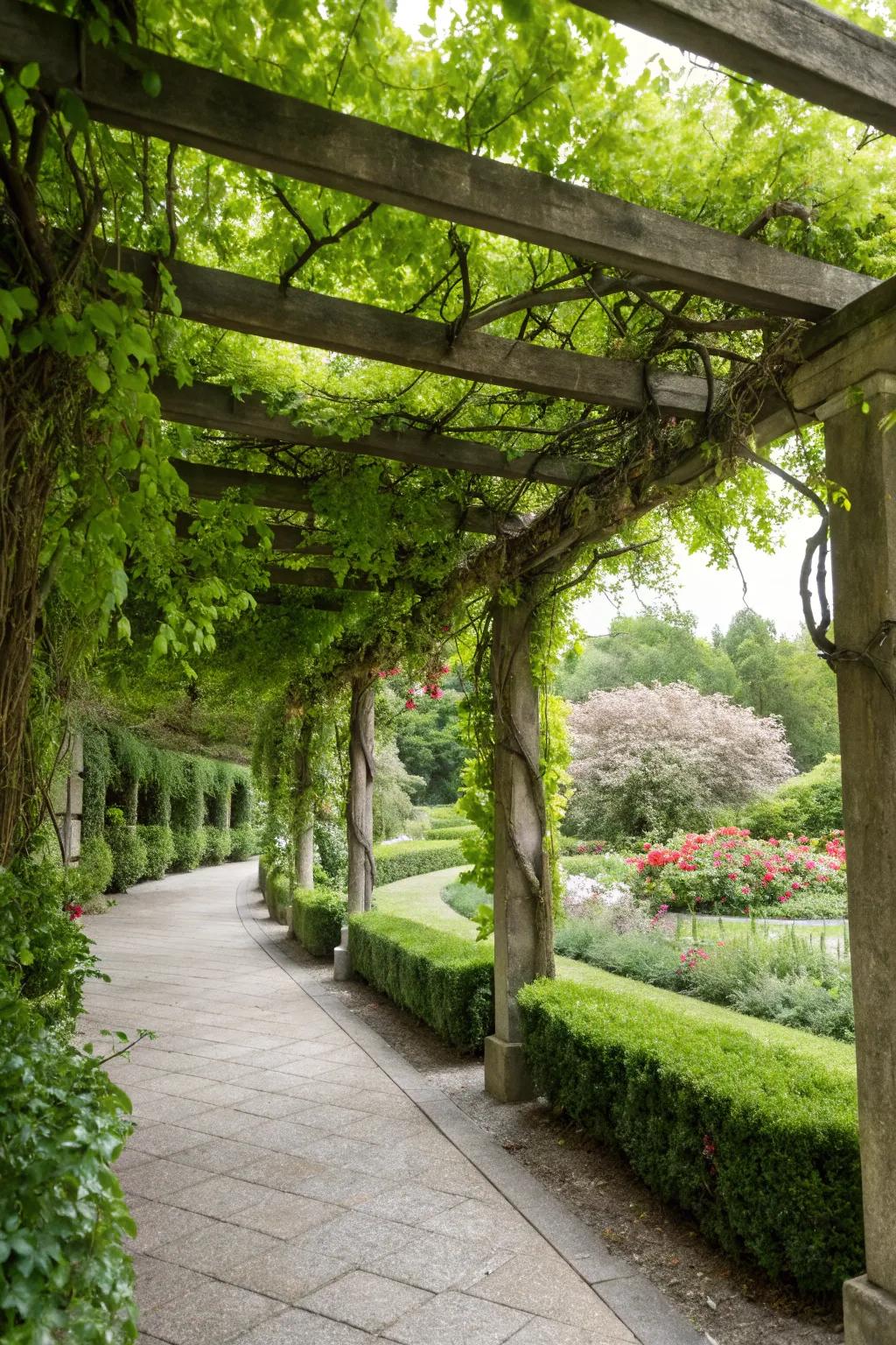 Green vines turn this pergola into a natural, enchanting overhead.
