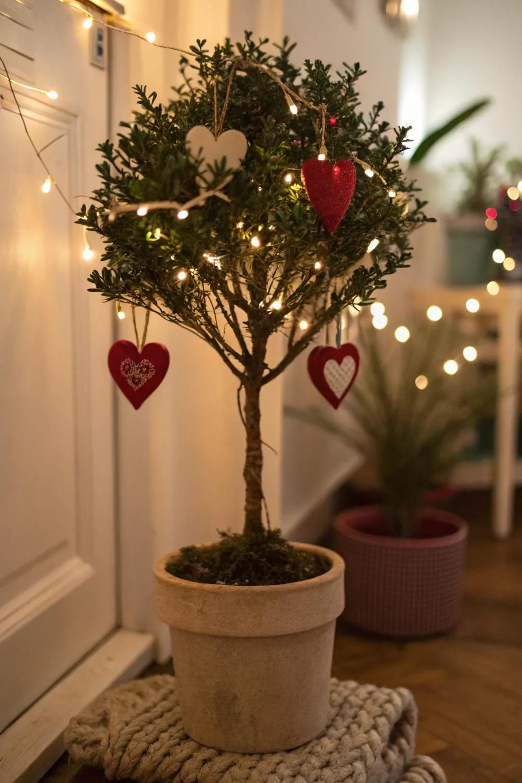 Valentine's Day sprout adorned with heart ornaments