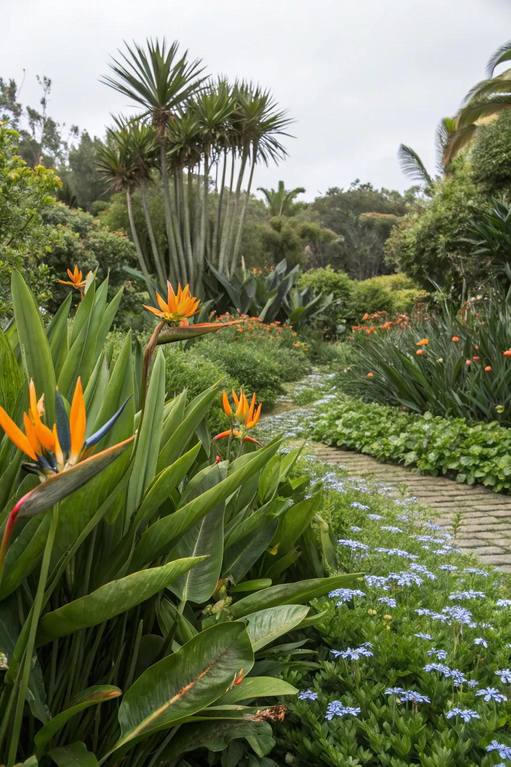 Craft depth with a tiered garden featuring Bird of Paradise.