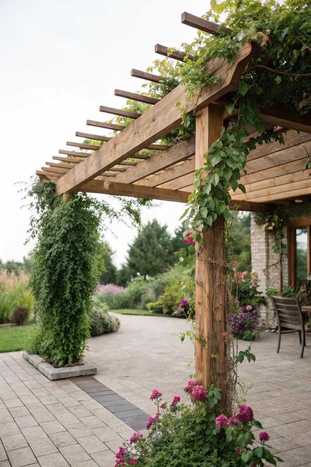 A pergola offers shade and visual appeal.