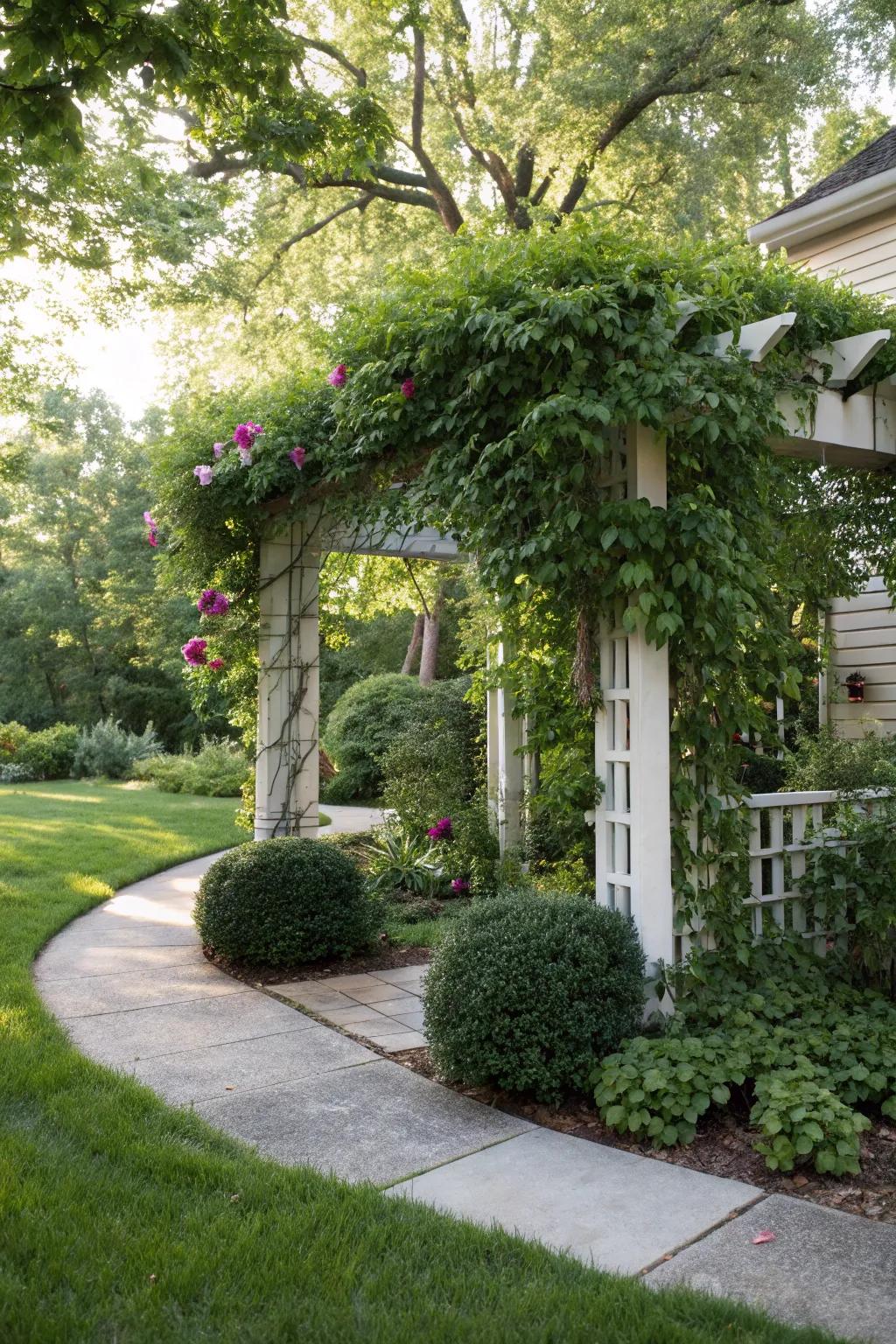 A welcoming nook arbor providing shade and aesthetic appeal.