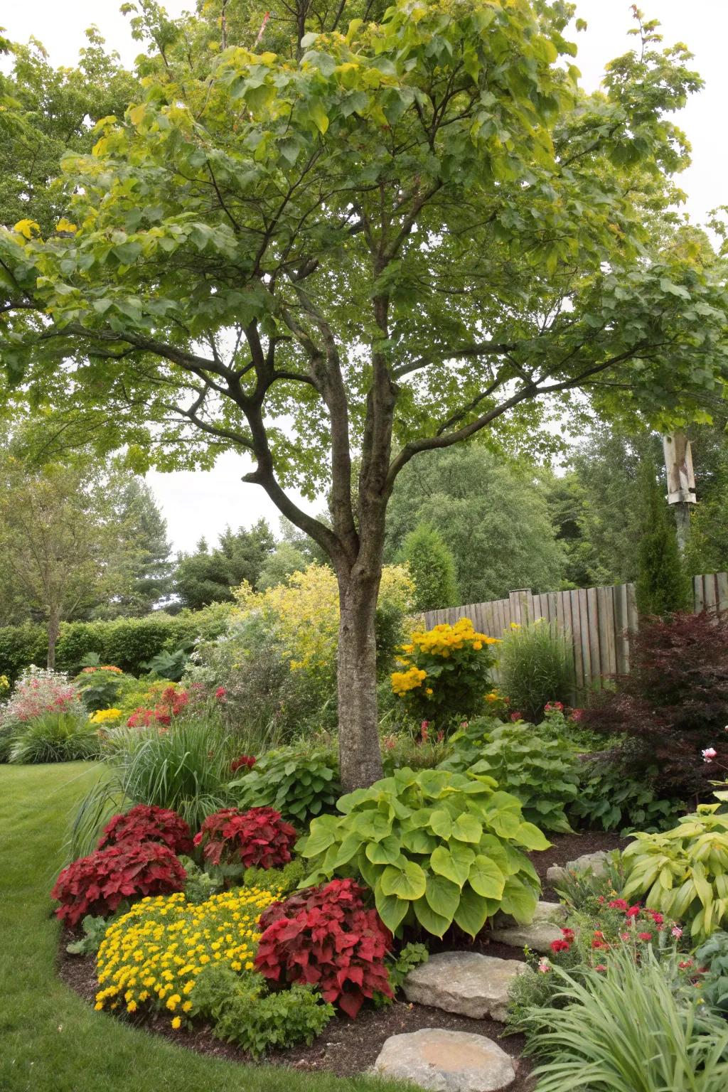 A tree surrounded by a diverse mix of plants, adding texture and color to the garden.