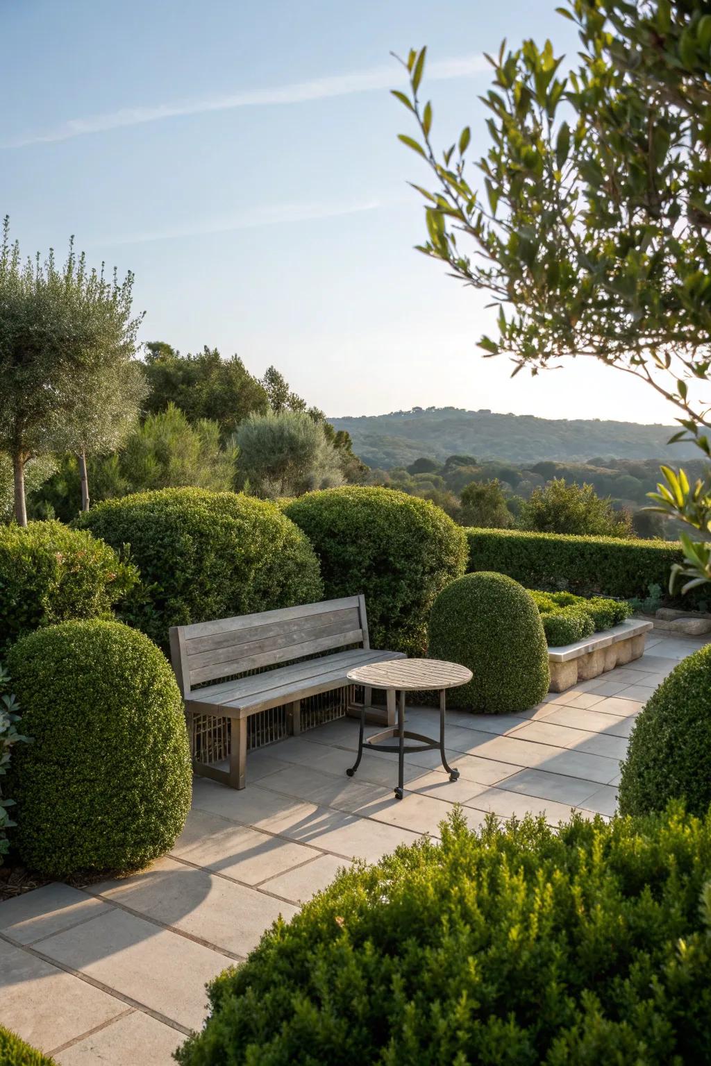 A cozy seating area nestled among shrubs, perfect for relaxation.