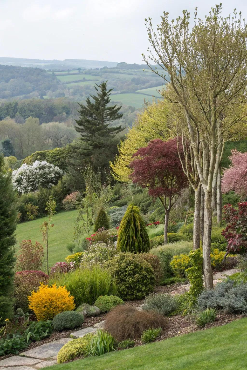 Incorporate variety with assorted tree varieties along garden borders.