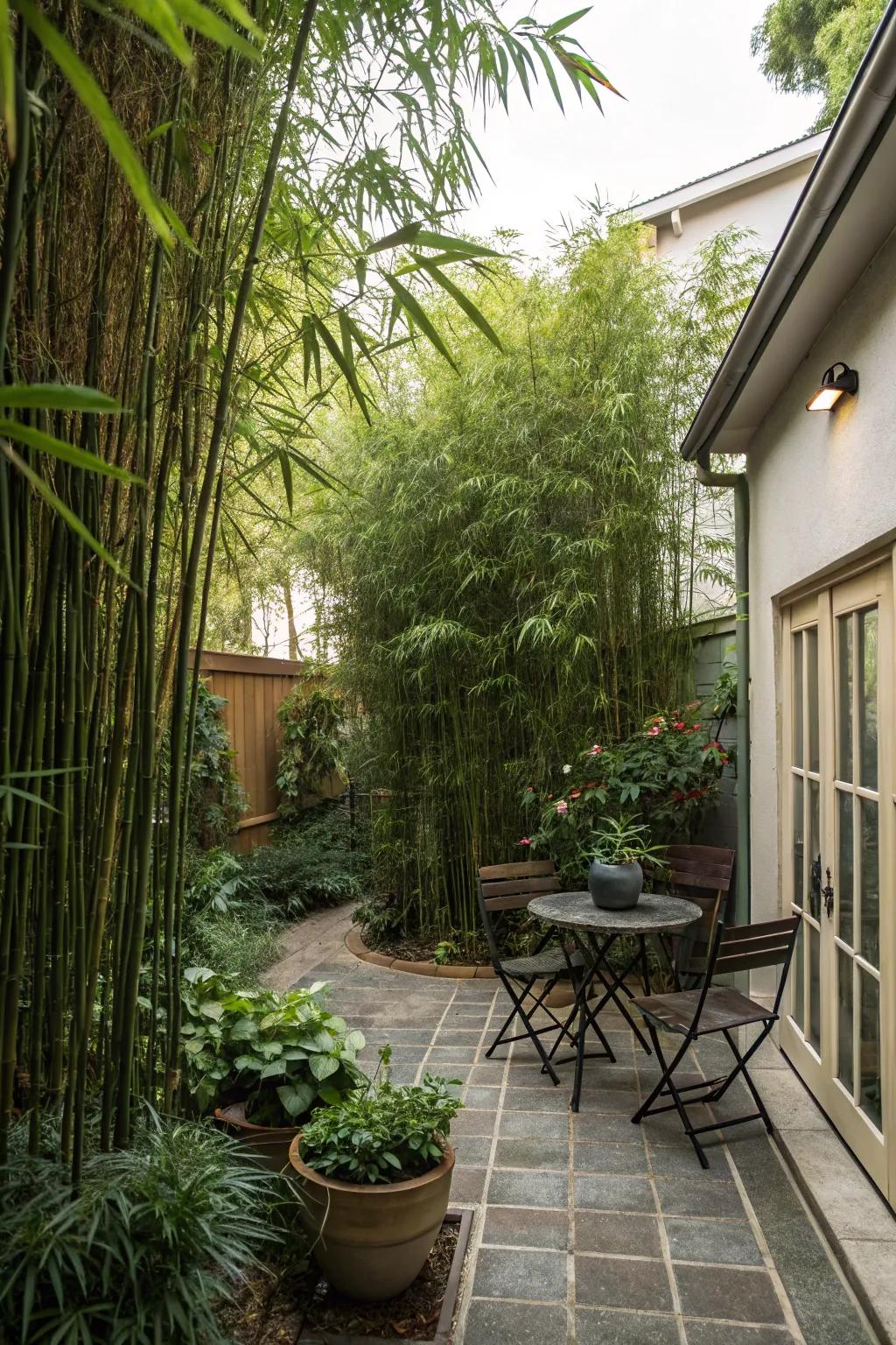 Tall plants provide a natural privacy solution.
