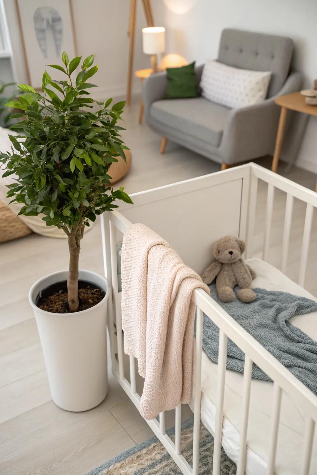 A touch of greenery will invigorate your baby's corner, contributing natural beauty and peacefulness.
