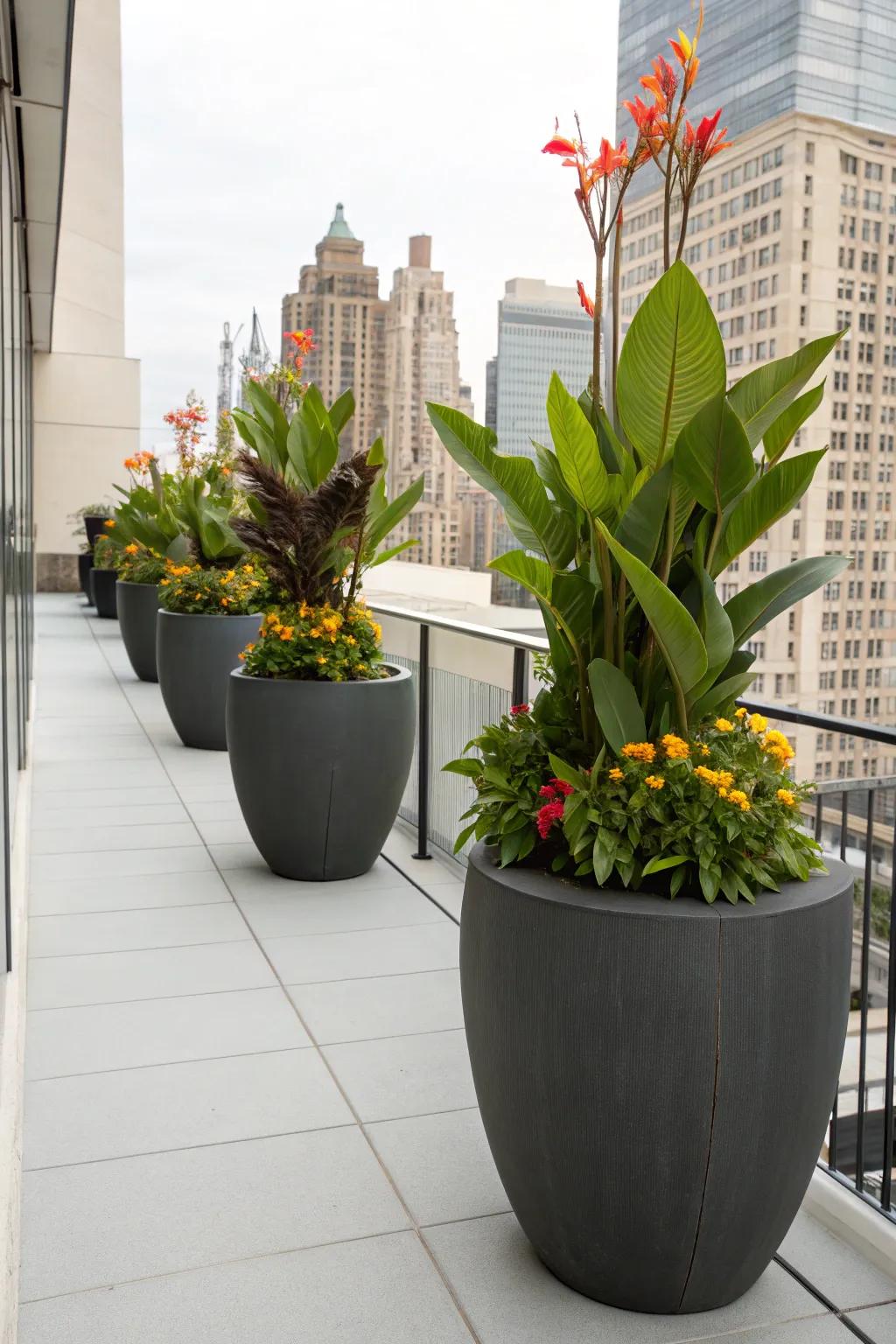 Majestic blooms in modern pots for a chic urban vibe.