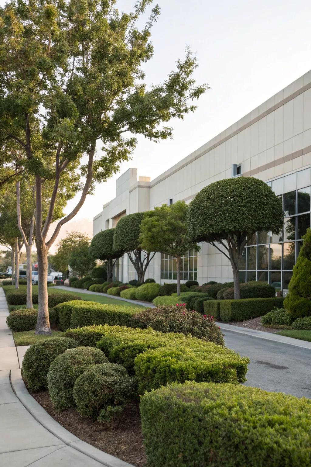 Trees and bushes introduce structure and elegance to landscapes.