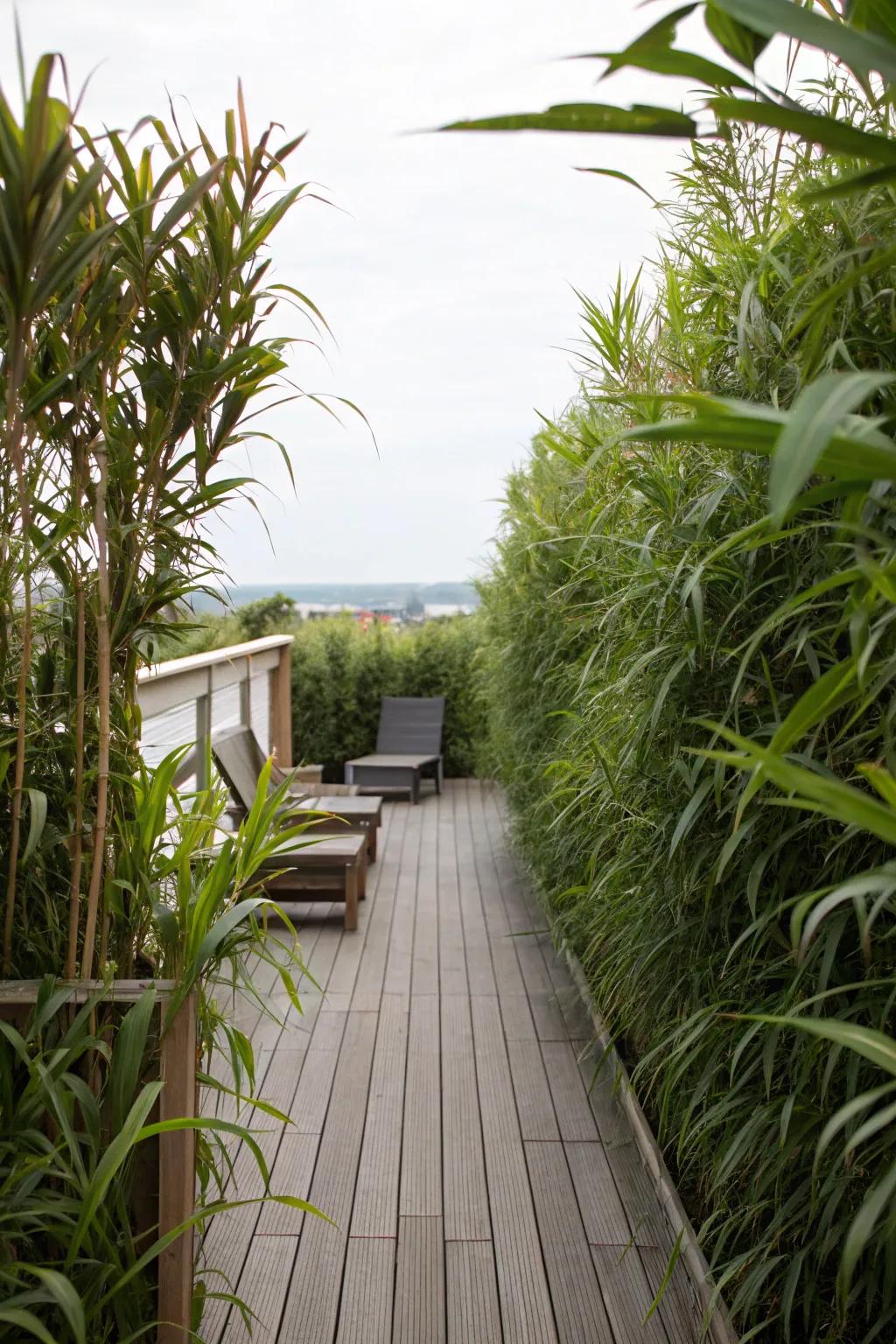 Inherent screens afford privacy without relinquishing flair.