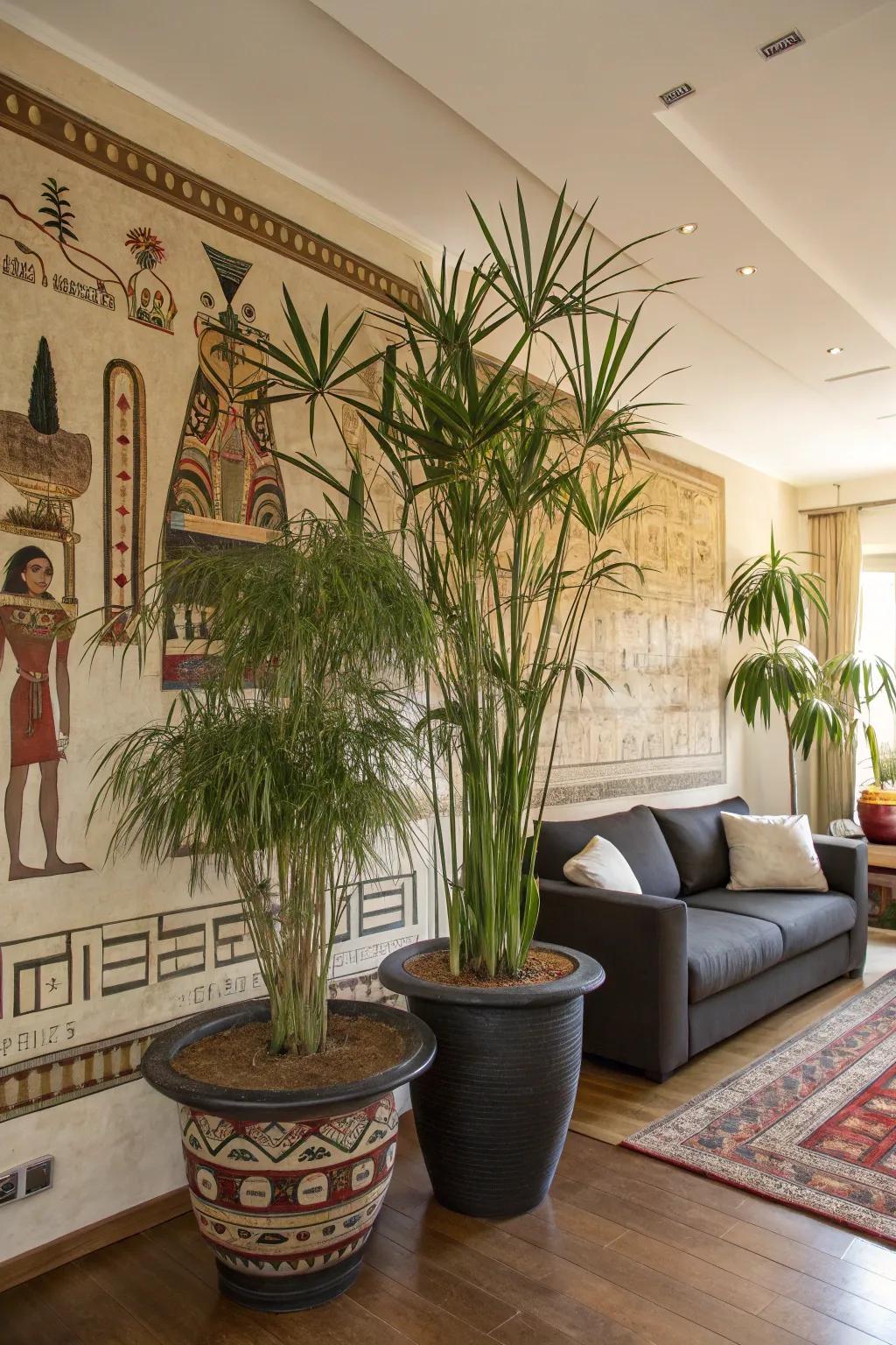 Foreign plants such as papyrus introduce a natural element to Egyptian decor.