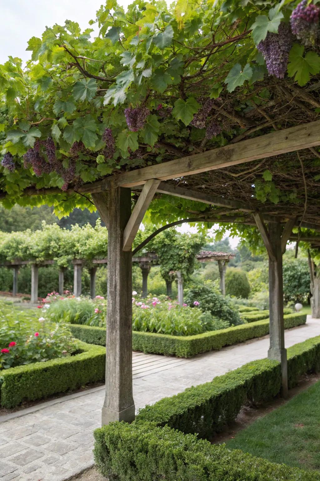A lush live roof shelter offering natural shade and beauty.