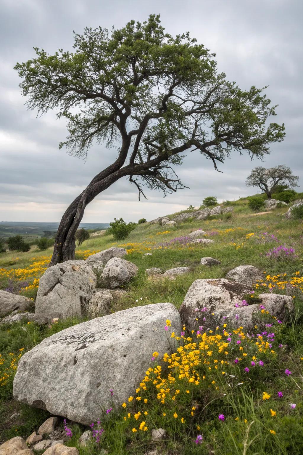 Embrace simplicity using natural landscaping components.