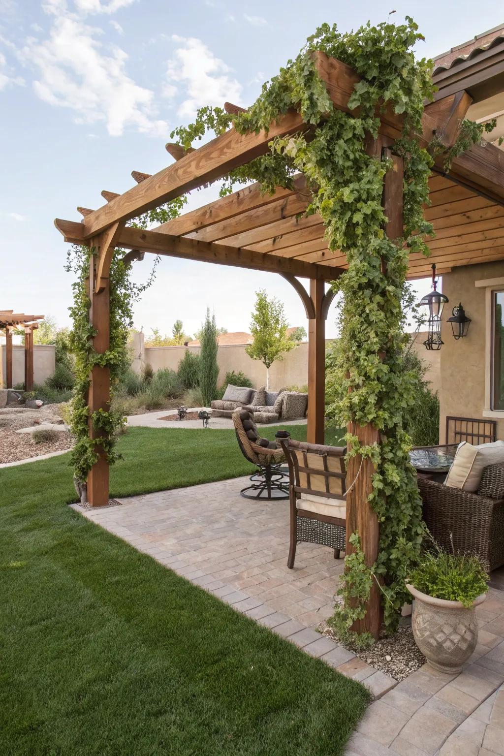Elegant overhead structure adorned with climbing plants in a Las Vegas backyard.
