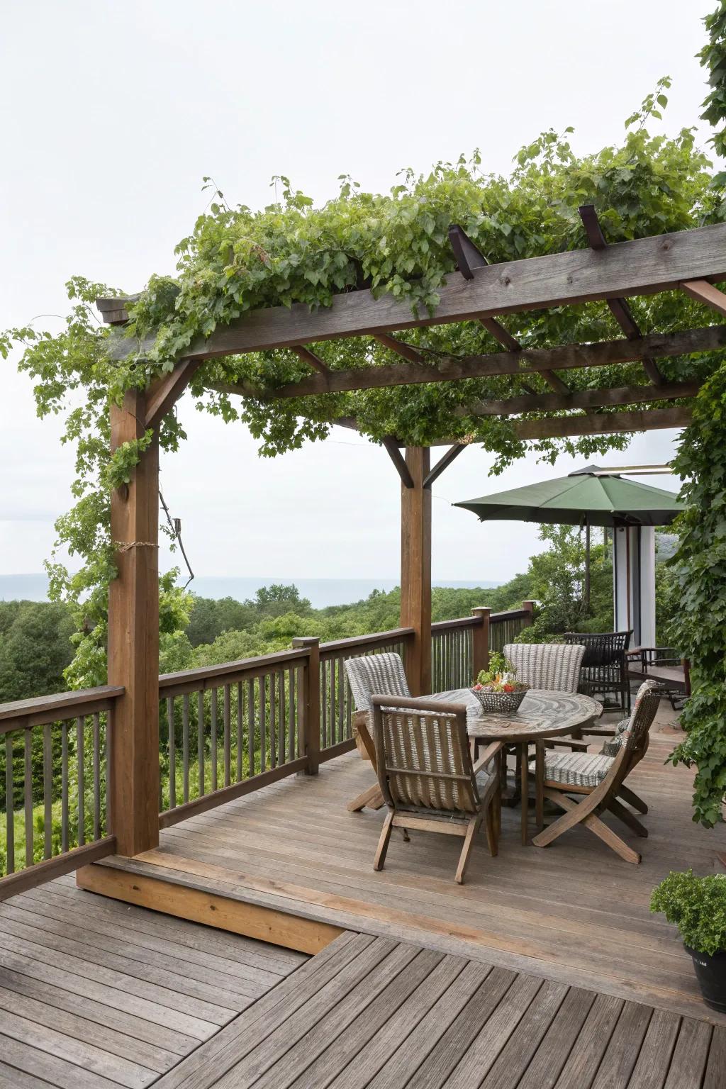 A deck with a pergola, providing shade and a unique architectural feature.