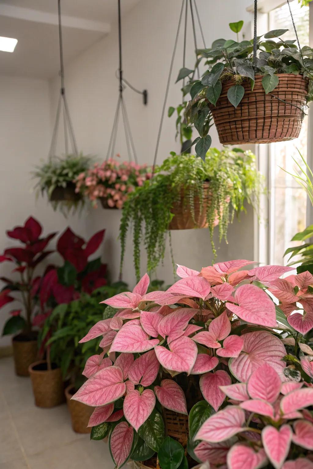 Plants with pink-toned leaves add a natural burst of color.
