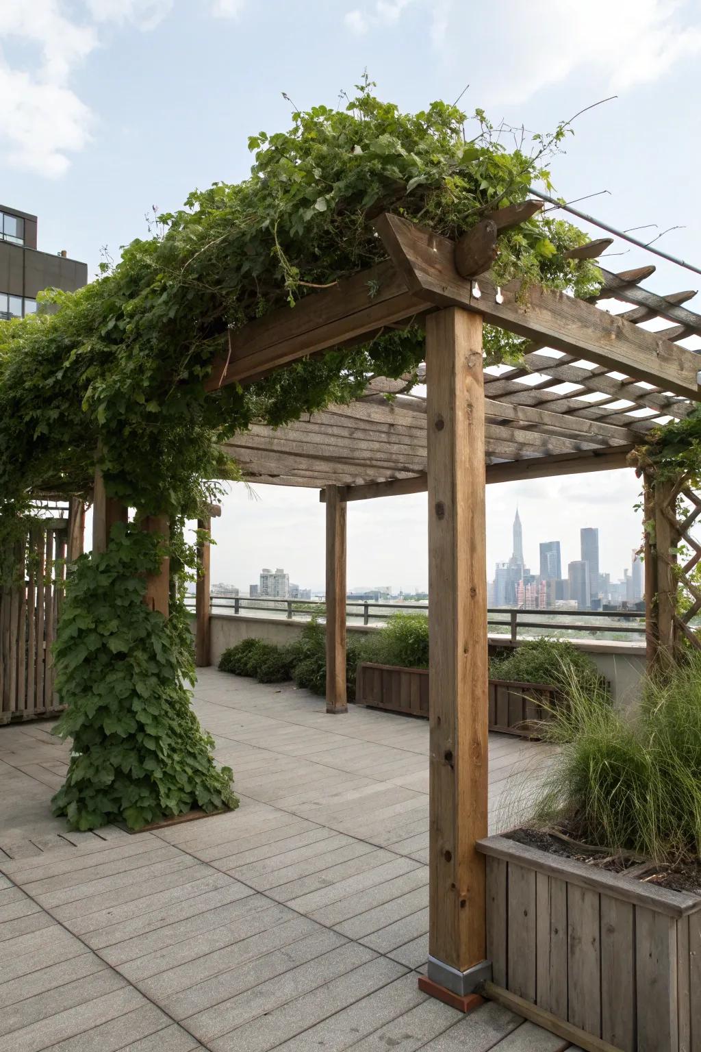 A lattice work offers both shade and style to your rooftop.