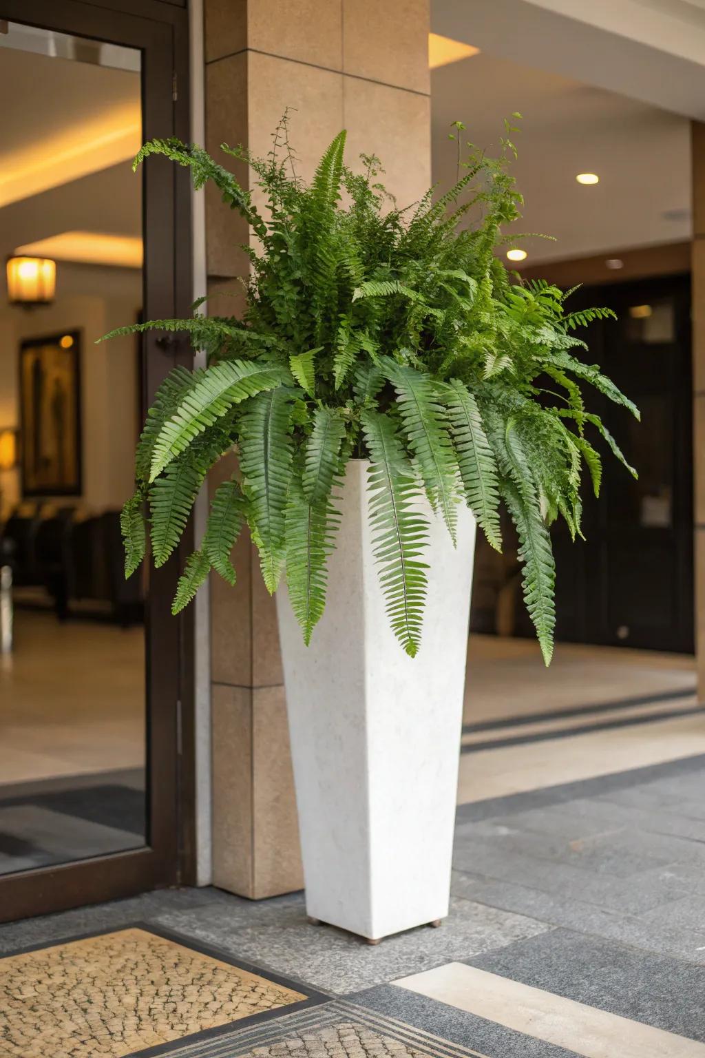 A solo statement piece can redefine any space.