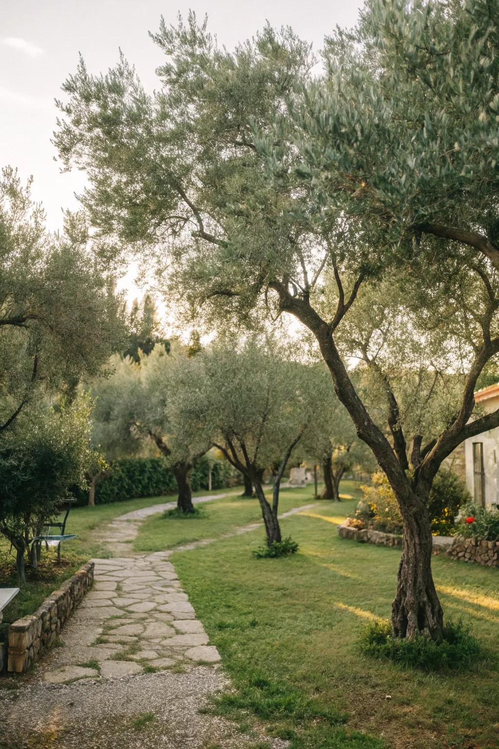 Establish a serene area with a unified woodland of trees.