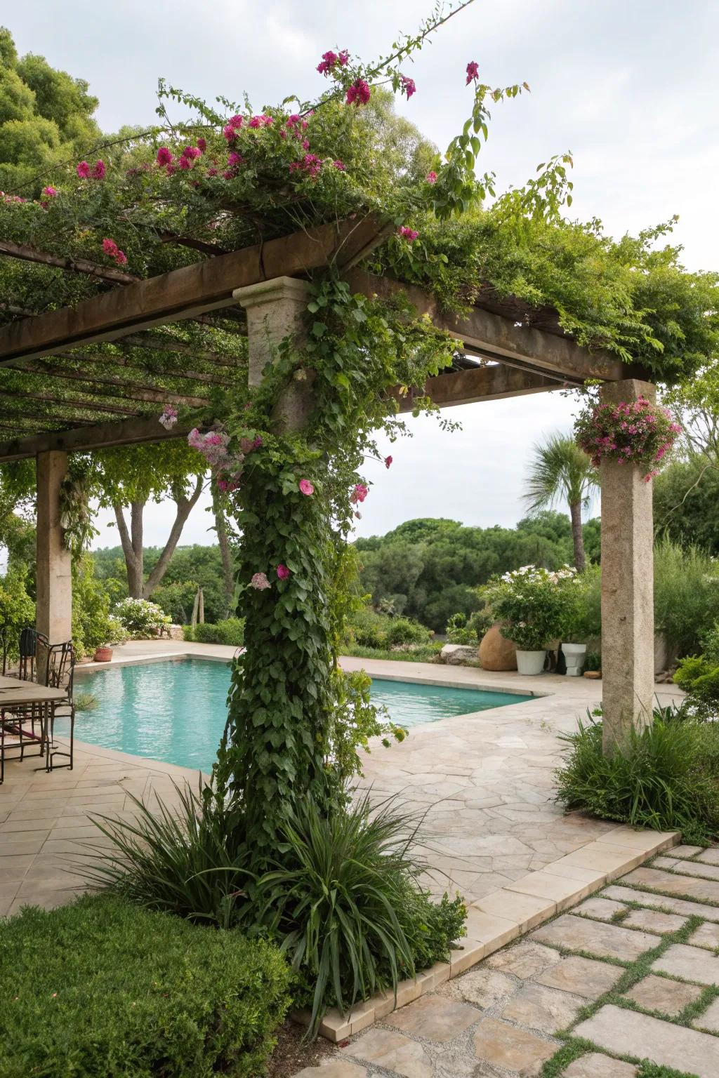 Verdure surrounding a pergola ensures a serene, natural retreat.