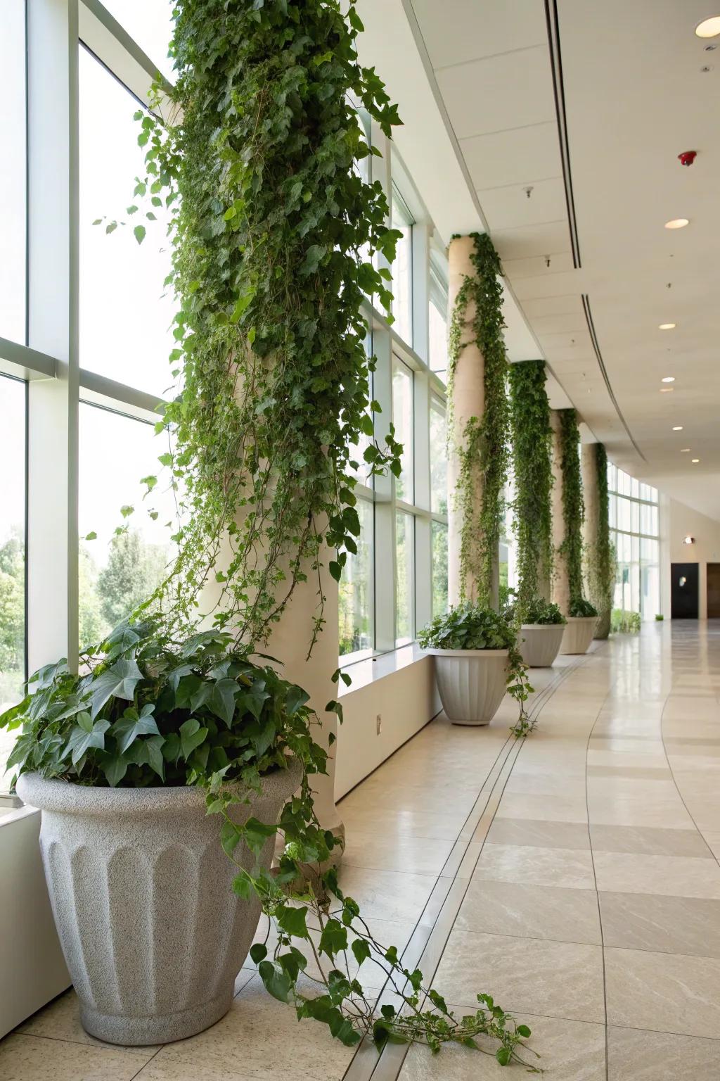 Emphasize vertical growth with cascading vessels.