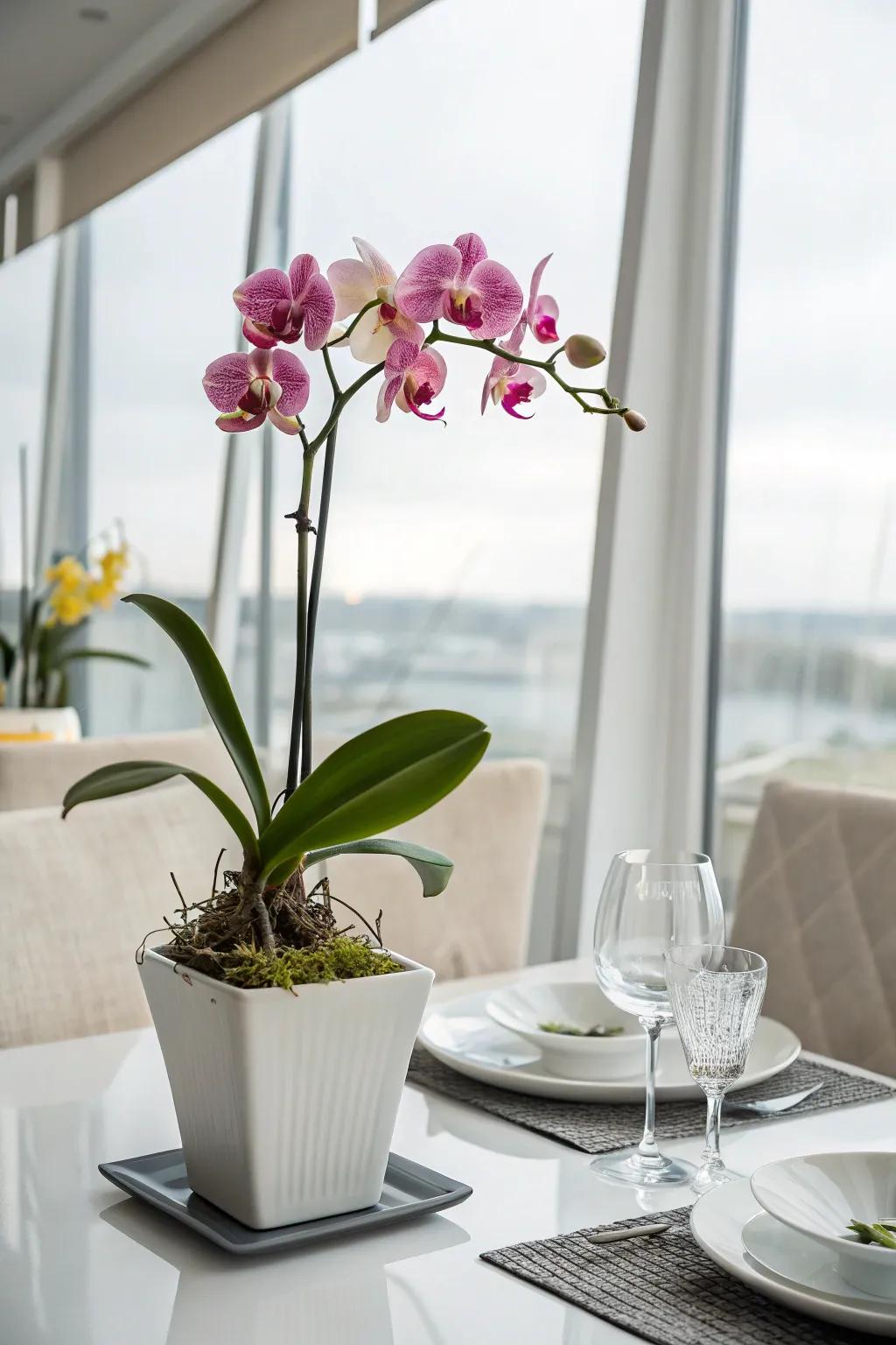 Blooms adding a refined touch to the dining space.