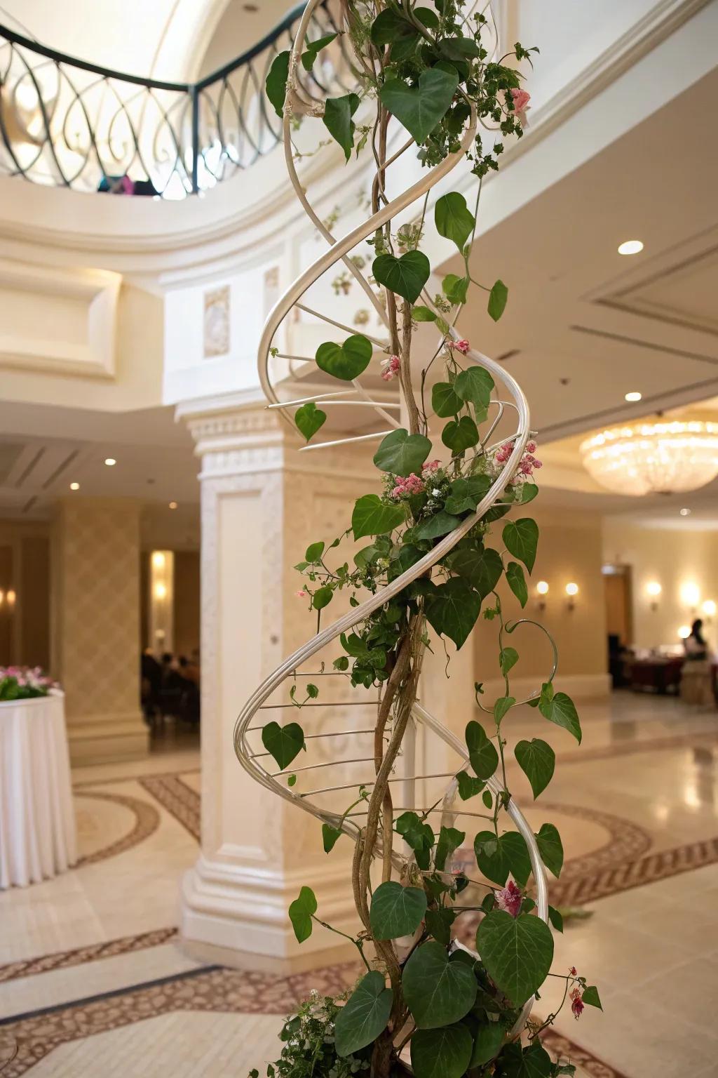 An elegant interior featuring a Hoya on an inventive spiral climbing frame.