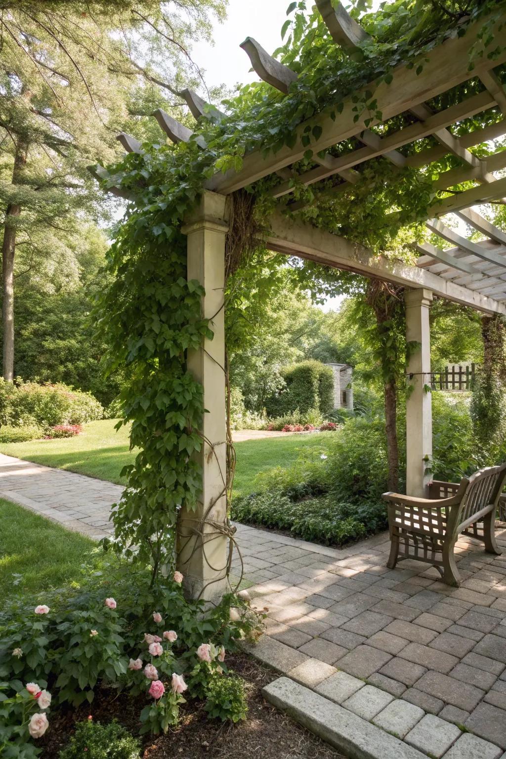 A pergola with climbing vines provides a shaded retreat.