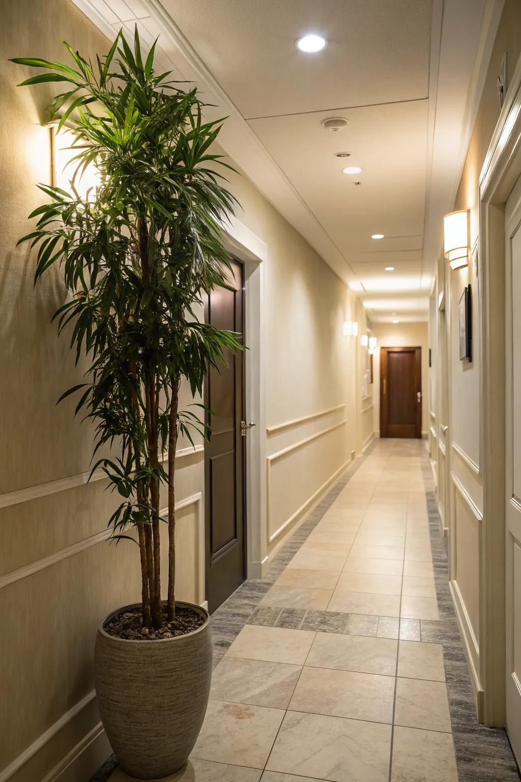 Plants add vibrancy and life to narrow spaces.