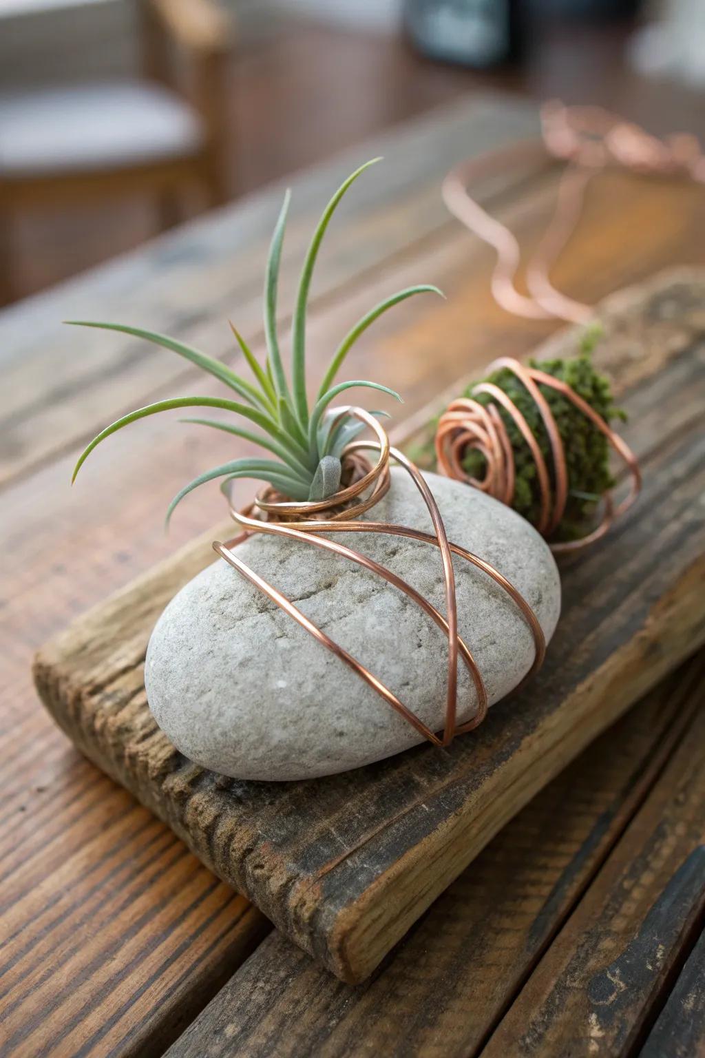 Stones and twine merge to form a distinctive and natural air plant stand.