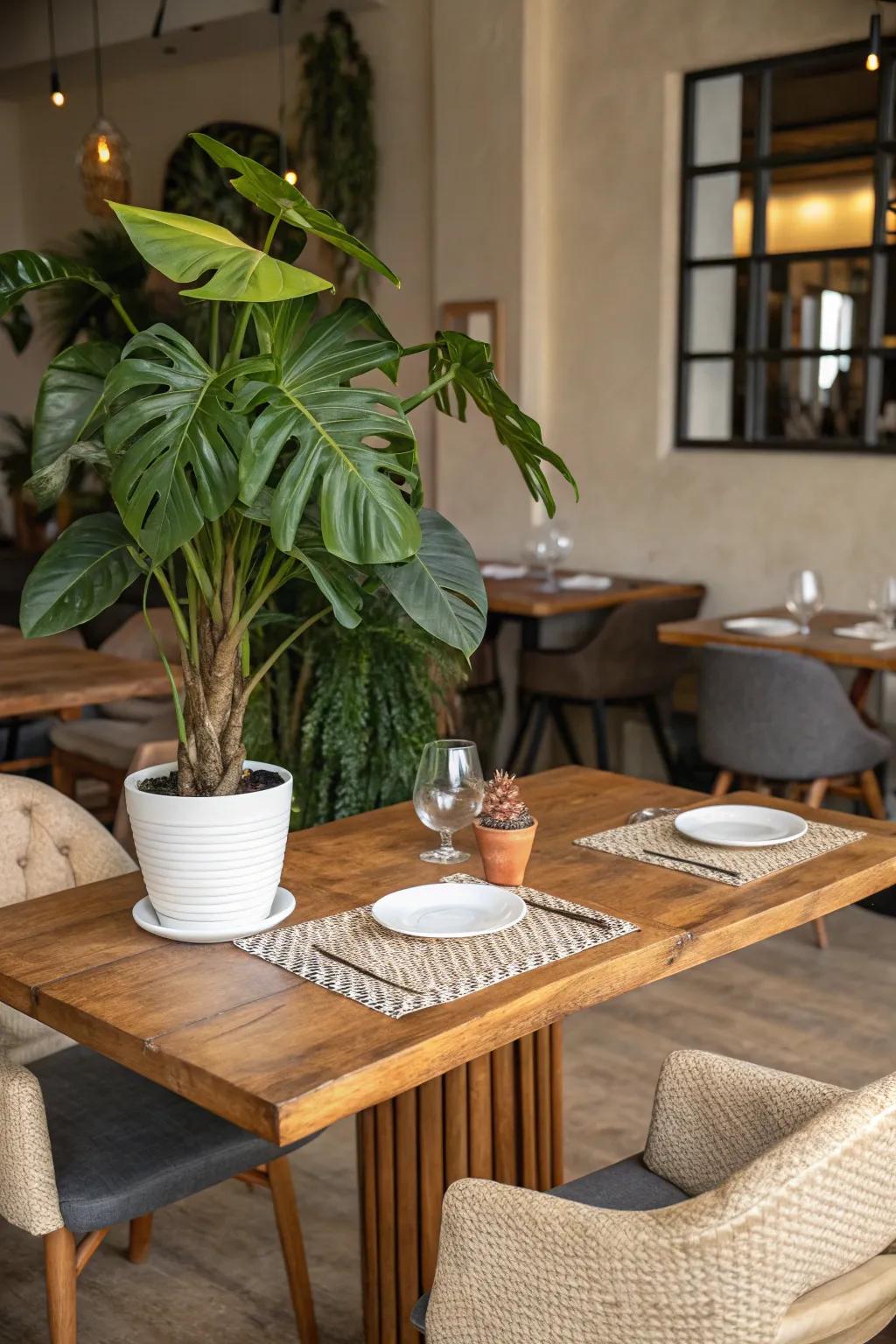 Natural touches foster a warm, inviting atmosphere.