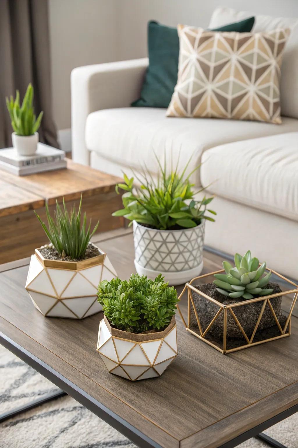 Angled planters offer a contemporary flair to your coffee table decor.