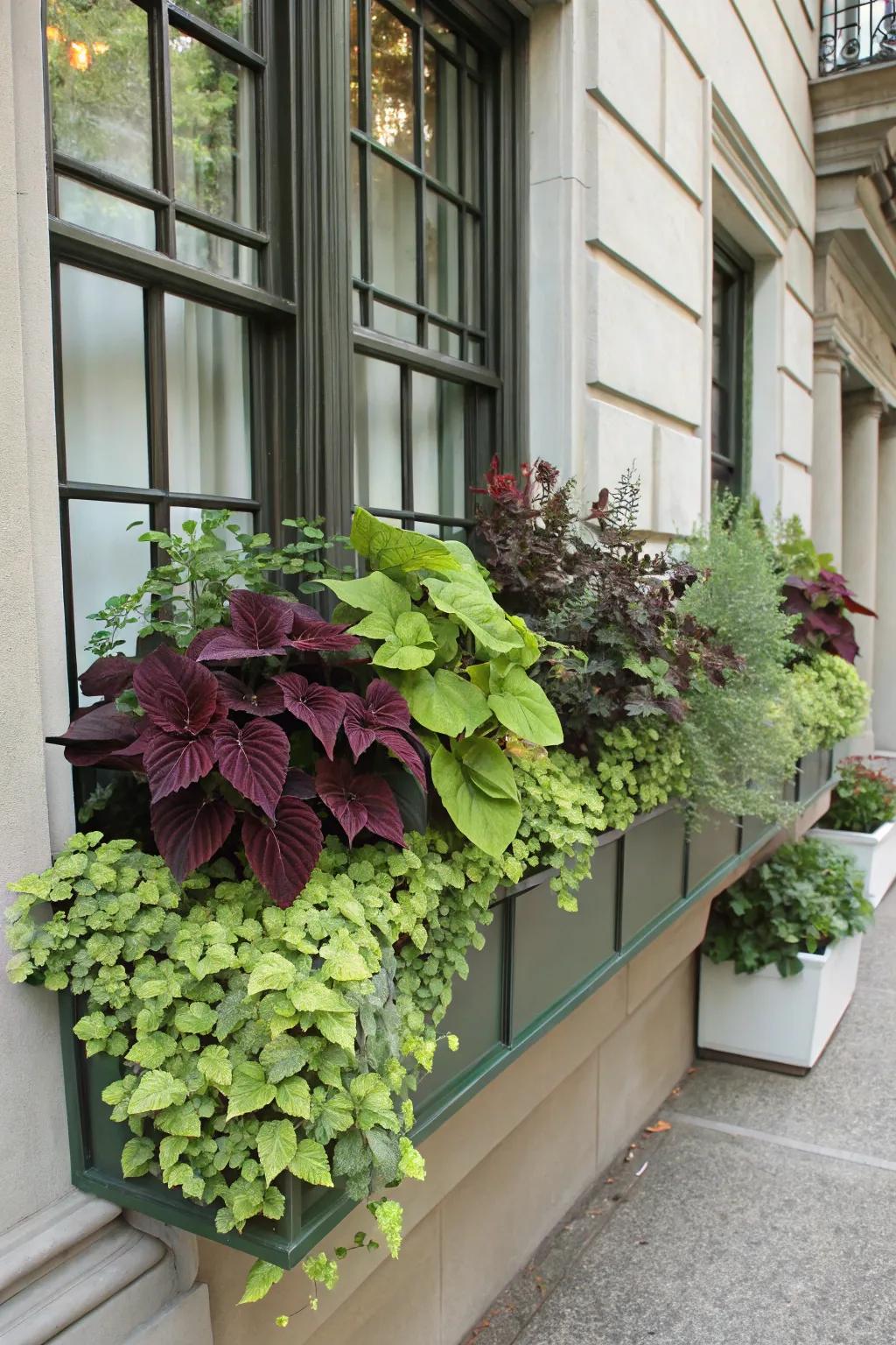 A monochromatic green palette creates a sophisticated window box.