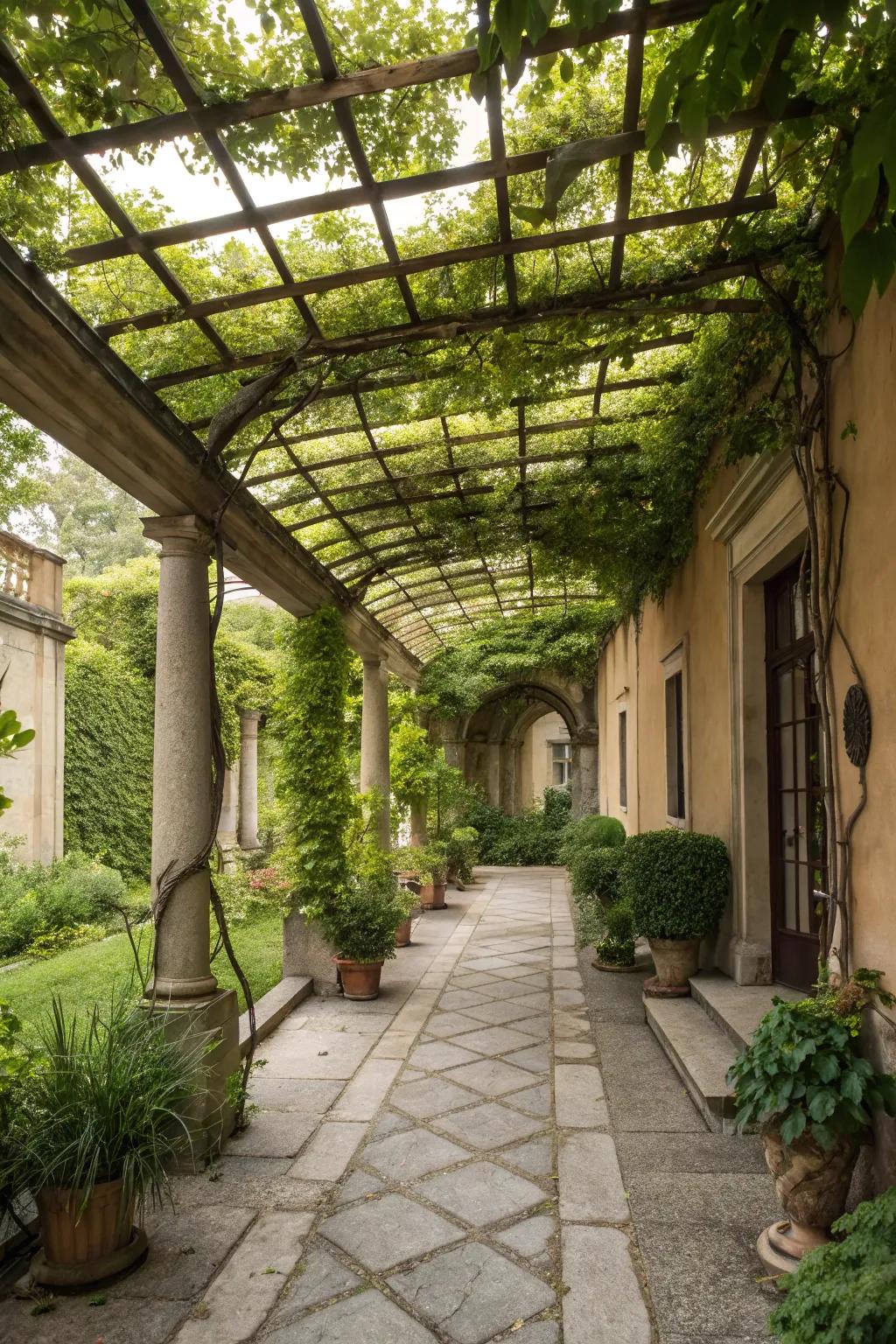 Enhance your courtyard with architectural features like pergolas.