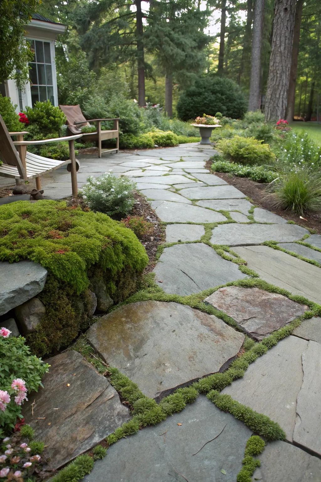 A flagstone patio adorned with rich moss accents.
