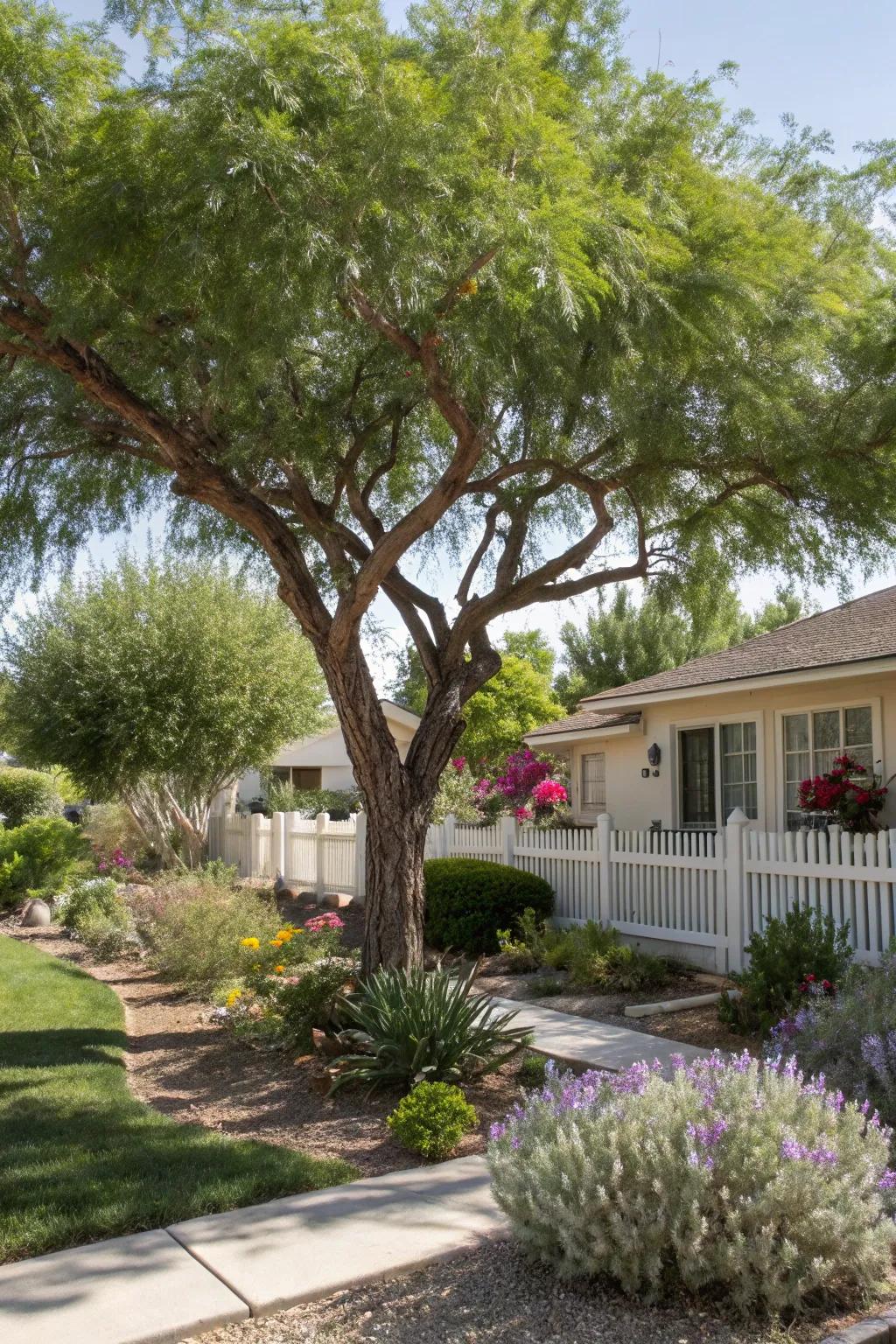 Arid-resistant trees present shade and sustainability.