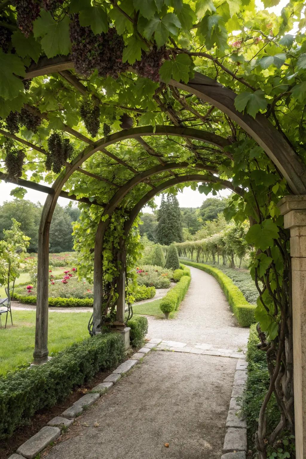 An elegant archway shelter that invites you into a lush garden space.