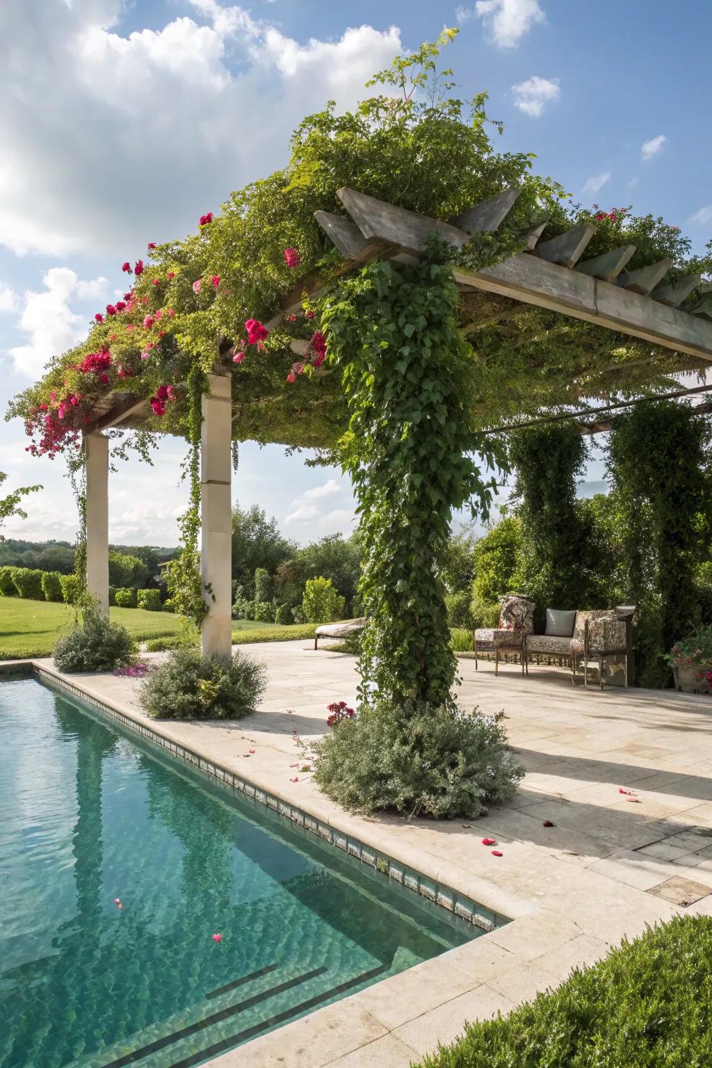 Incorporate flair and shade using a pergola.