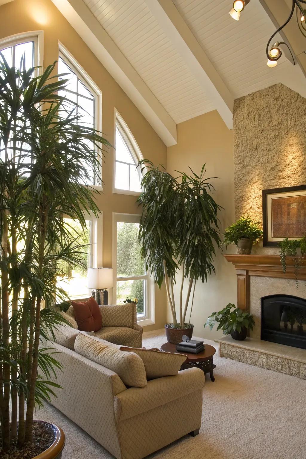 Living room featuring a vaulted ceiling and greenery accentuating the wall