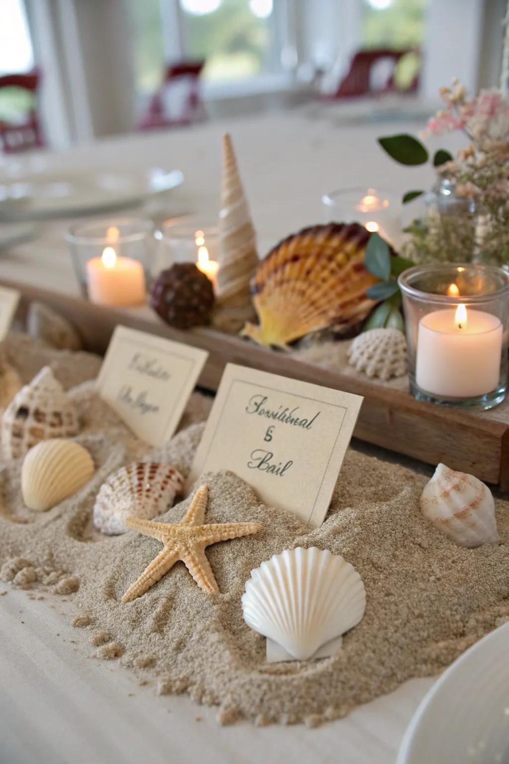 Shell display pieces add a touch of coastal charm to any setting.