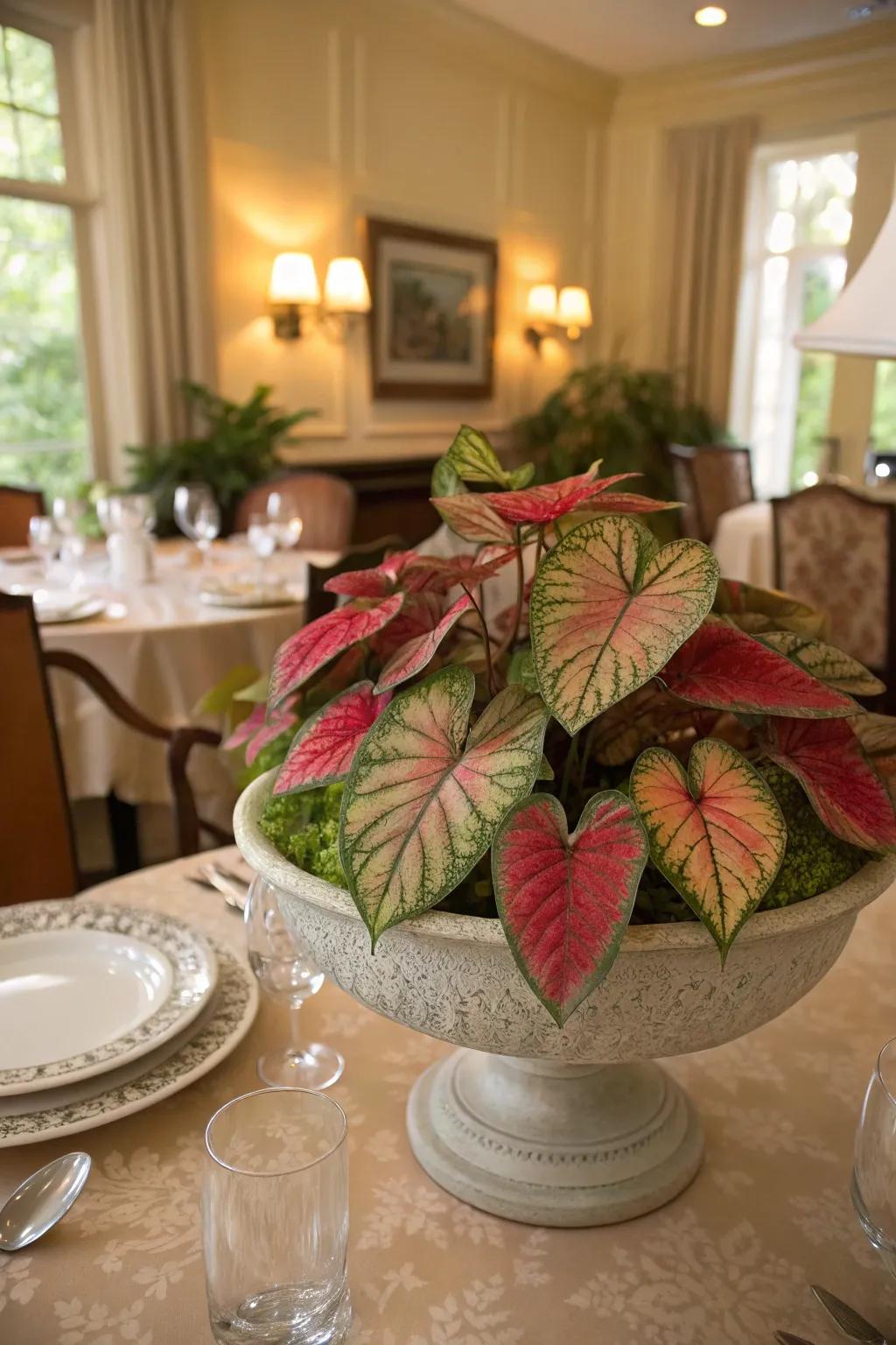 A caladium centerpiece appending elegance to every dining setting.