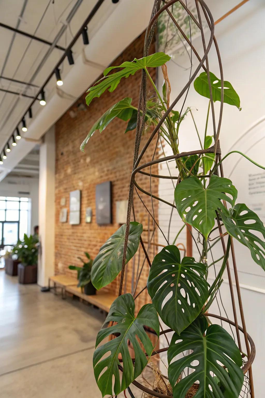 Unleash your creativity with custom wire designs